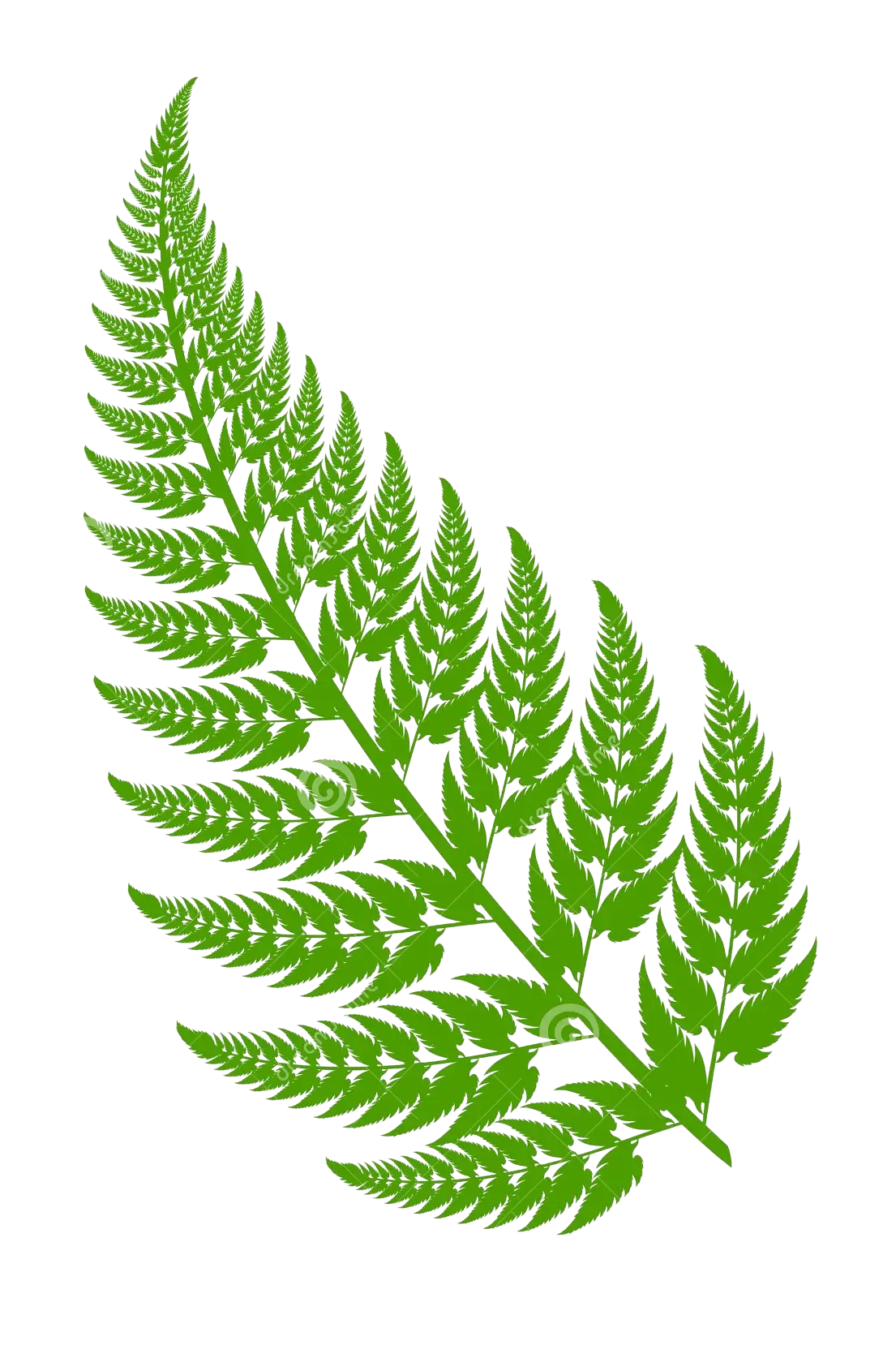 Viva Fernleaf